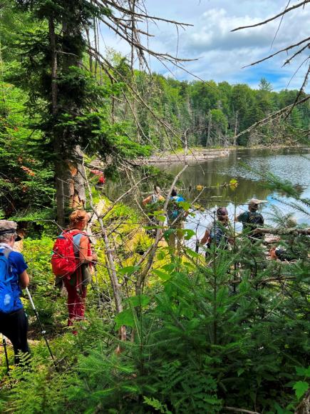 Crooked Canes hikers crossing a beaver dam at William Blake Pond in the Adirondacks on one of their weekly outings.